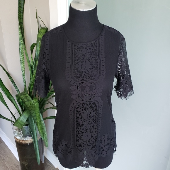 Lace Top - Picture 3 of 4